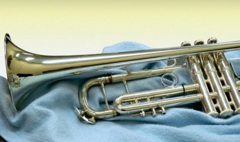 У спящего пассажира каширской электрички похитили музыкальный инструмент и пытались сдать его в ломбард