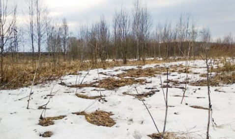 Владелец участка в Кашире получил штраф за ненадлежащее использование почти трех гектаров земли