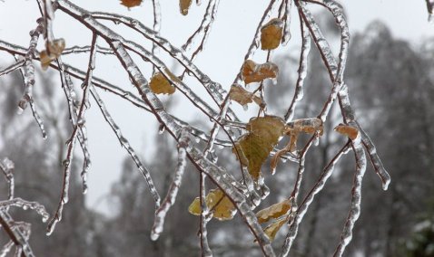 Ледяной дождь привел к кратковременным отключениям электроэнергии в Кашире
