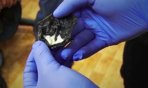 Перевозчик наркотиков приговорен в Кашире к десяти годам колонии строгого режима