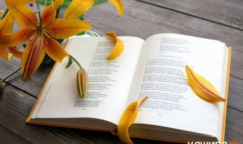 Путешествие в страну поэзии