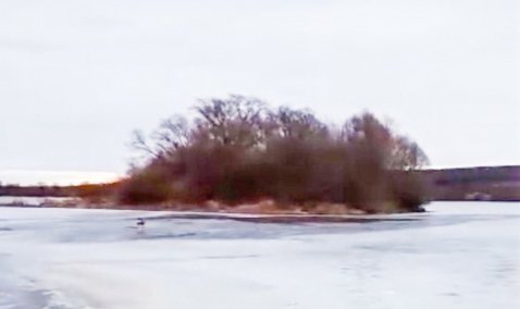 Пропавшего под Каширой дайвера нашли утонувшим в Оке