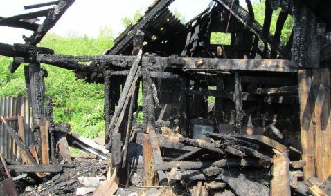 Домашняя птица сгорела в результате вчерашнего пожара на улице Малой Красноармейской в Кашире