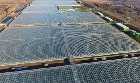 ООО «Агрокультура Групп» возглавило рейтинг аграрных предприятий Московской области