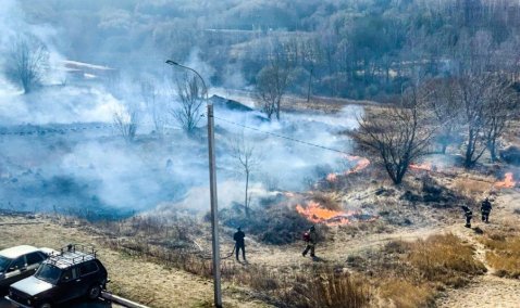 Кашира в дыму: с потеплением возобновилось загорание травы