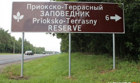 Областной Минтранс опроверг сообщение о намерении строительства дороги из Серпухова в Каширу