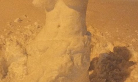 Венера и сфинкс: в Кашире креативный житель лепит на улице реалистичные фигуры из снега