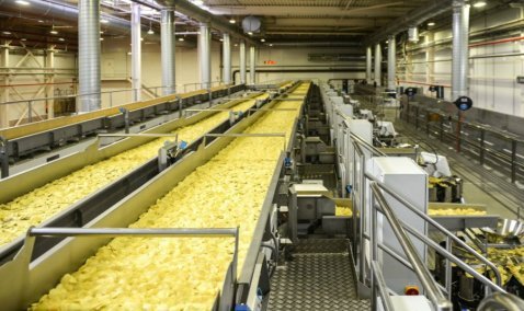 Производство чипсов на заводе «Фрито Лей Мануфактуринг» в Кашире вырастет за счет брянского картофеля