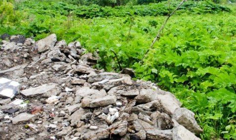 Фирма-владелец участков в Кашире получила крупный штраф за нарушение земельного законодательства