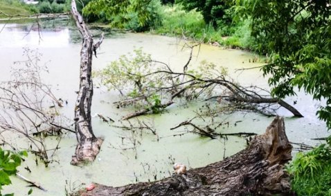 Ростехнадзор выявил сотни нарушений эксплуатации гидротехнических сооружений в Кашире