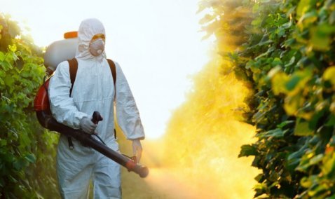 В парке культуры и отдыха Каширы идет обработка территорий от клещей