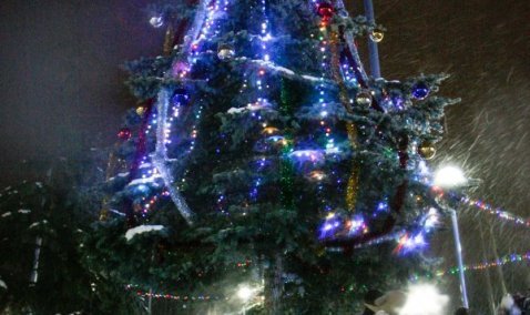 Новогодние ели засияли в Каширском городском округе