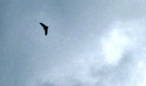 Над Каширой снова могут полететь беспилотники