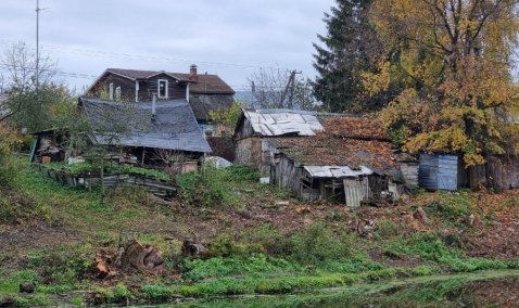 В Минэкологии потребовали привести в порядок берег пруда в городском округе Кашира