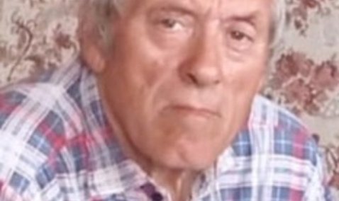 Стало известно, чем завершились поиски пропавшего в Кашире 71-летнего мужчины