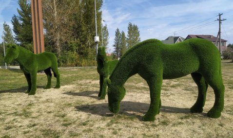 Фигуры лошадей украсили лужайку у «Макдоналдса» в Кашире