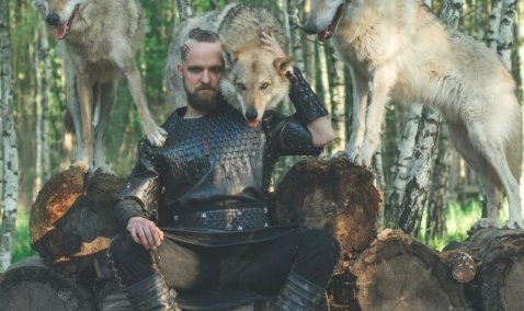 Волки из каширской зоостудии снялись в российской военной драме