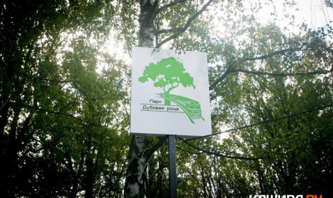 На территории парков округа проведут обработку от клещей