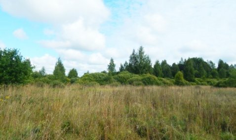 Собственник земли в Кашире оштрафован на 800 тысяч рублей за ненадлежащее содержание участков