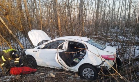 Женщина с двумя детьми попала в аварию на трассе в Кашире