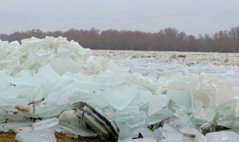 Природная редкость: в Кашире начался январский ледоход на Оке