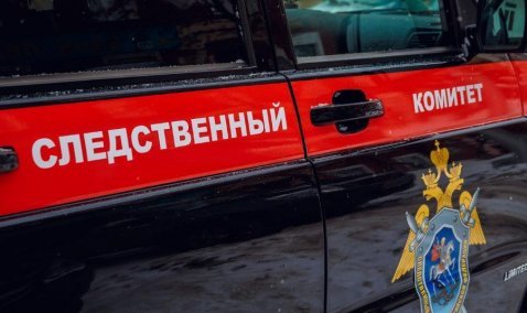 Следственный комитет начал проверку по факту гибели новорожденной девочки в Кашире