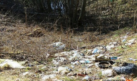 За чистый пруд! Жители деревни Ледово оказались самыми активными в выборе места субботника