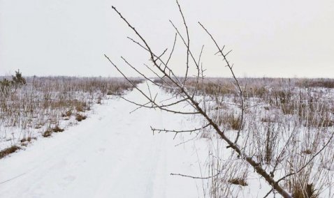 23 гектара не по назначению: в Кашире продолжают штрафовать владельцев земли