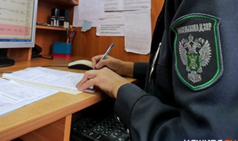 ООО "Кашира-Агро" получила предупреждение Россельхознадзора за заросшие земли