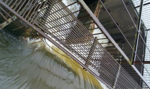 В деревне под Каширой за 57 миллионов рублей отремонтируют плотину пруда