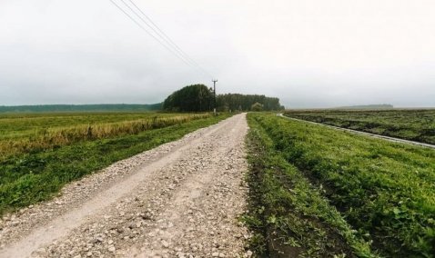 Маленькая деревня под Каширой второй год подряд побеждает в голосовании по ремонту дорог