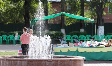 Около 3-х миллионов рублей потратят на ремонт сельского фонтана под Каширой