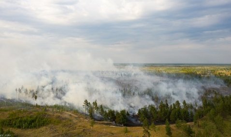 Каширские огнеборцы приняли участие в тушении крупного лесного пожара