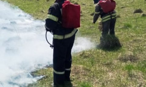 Причина лесных пожаров: каширские спасатели предупреждают об опасности пала сухой травы