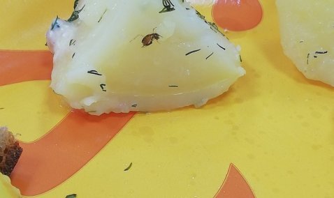 В столовой Каширы-1 посетителей кормят отварным картофелем... с тараканами