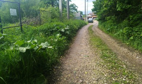 Голосование по дорогам: улица в Кашире собрала почти 10% всех голосов в Московской области