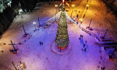 Стало известно, где в этом году установят главную елку Каширы