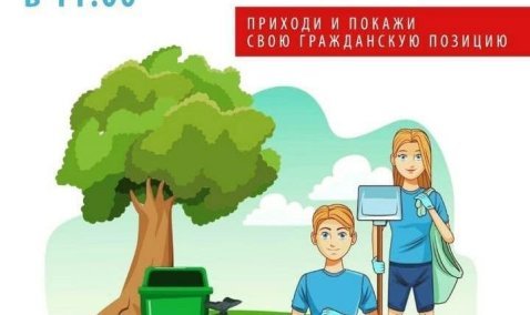 Каширян приглашают принять участие в акции по уборке березовой рощи