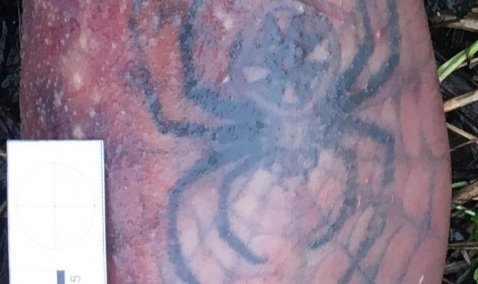 СК устанавливает личность трупа, найденного вблизи Колтово