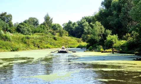 В деревне Елькино приступили к очистке и благоустройству пруда