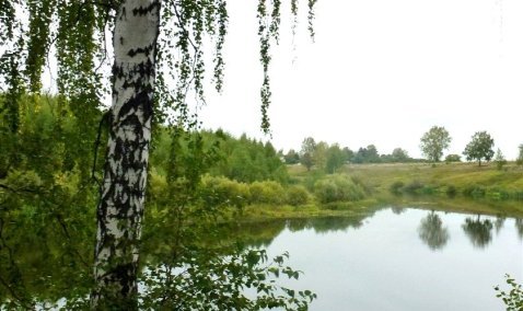 Ремонт двух плотин проведут на прудах в деревнях под Каширой