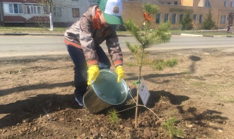 Победители отправятся в Волгоград