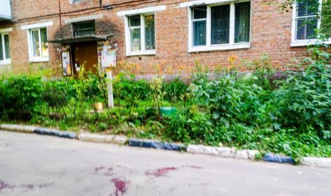 В Кашире-2 невменяемый мужчина напал с ножом на женщину