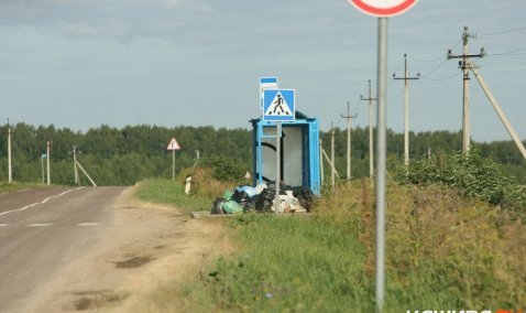 Дачников в Кашире штрафуют за незаконный сброс мусора