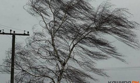 Ветер до 17 м/c и мокрый снег ожидаются в ближайшие сутки