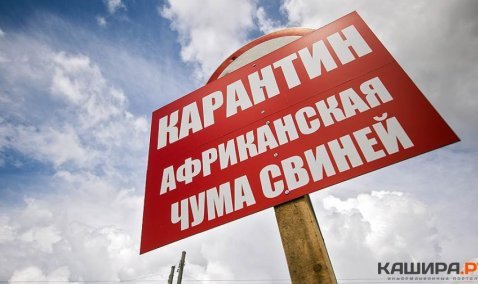 В Терново-1 отменен карантин по АЧС, в районе Тарасково сохранены ограничения