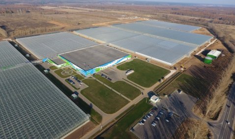 Четвертую очередь тепличного комплекса запустила в Кашире «Агрокультура Групп»