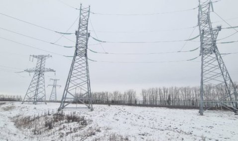 Новая подстанция на тепличном комплексе в Кашире получила разрешение на запуск