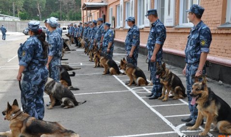 День кинологической службы в системе МВД России отмечается 21 июня