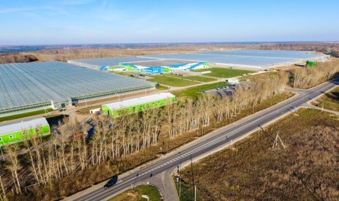«Агрокультура Групп» намерена стать резидентом особой экономической зоны «Кашира», инвестировав более 2 миллиардов рублей